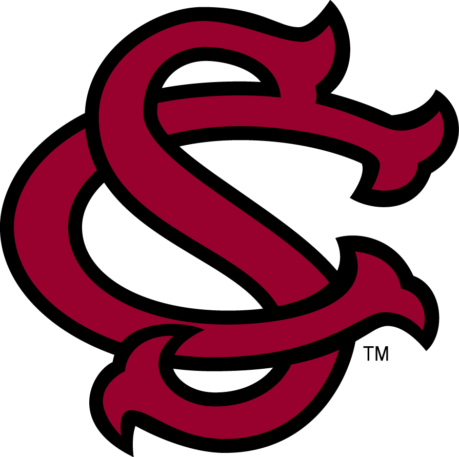 South Carolina Gamecocks 1993-Pres Alternate Logo v4 diy iron on heat transfer